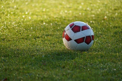 Soccer Ball on Grass