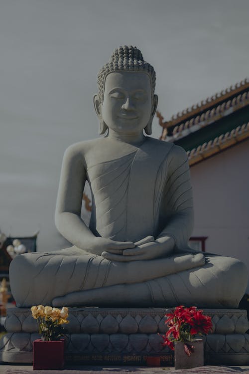 Potted Flowers In Front of the Buddha Statue 