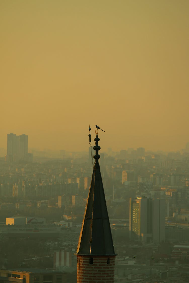 Bird On Top Of Minaret