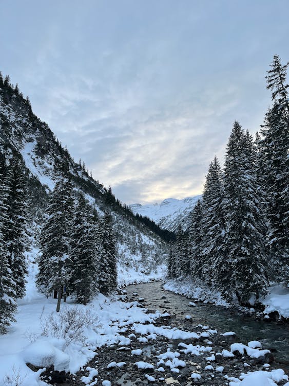 Scenic View of a Mountain Stream in a Valley 