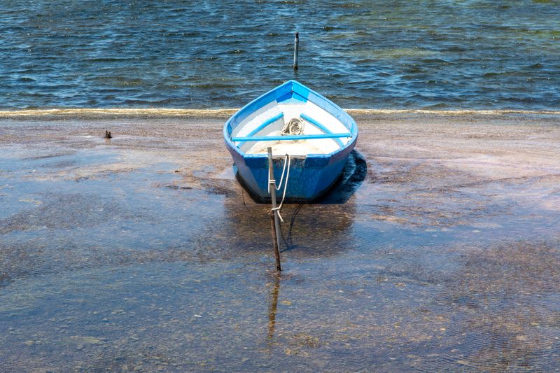 A solitary blue boat securely tied at the water's edge with a serene view.