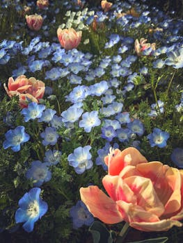 Image by Bondan Abiyoga