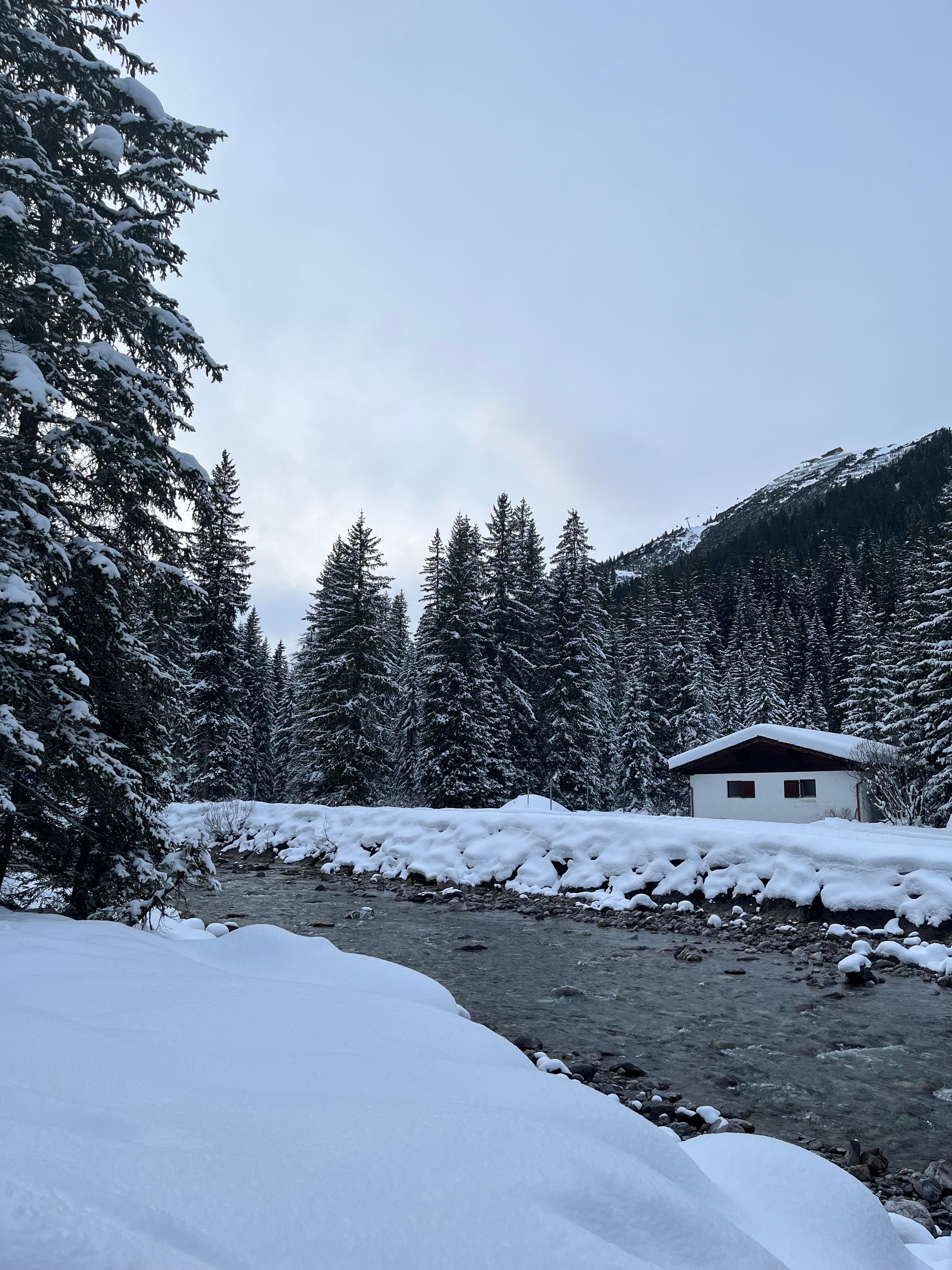 A cabin in the middle of a snowy forest · Free Stock Photo