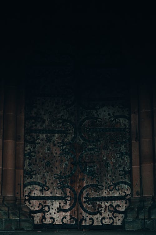 View of Old Doors with Forged Patterns 