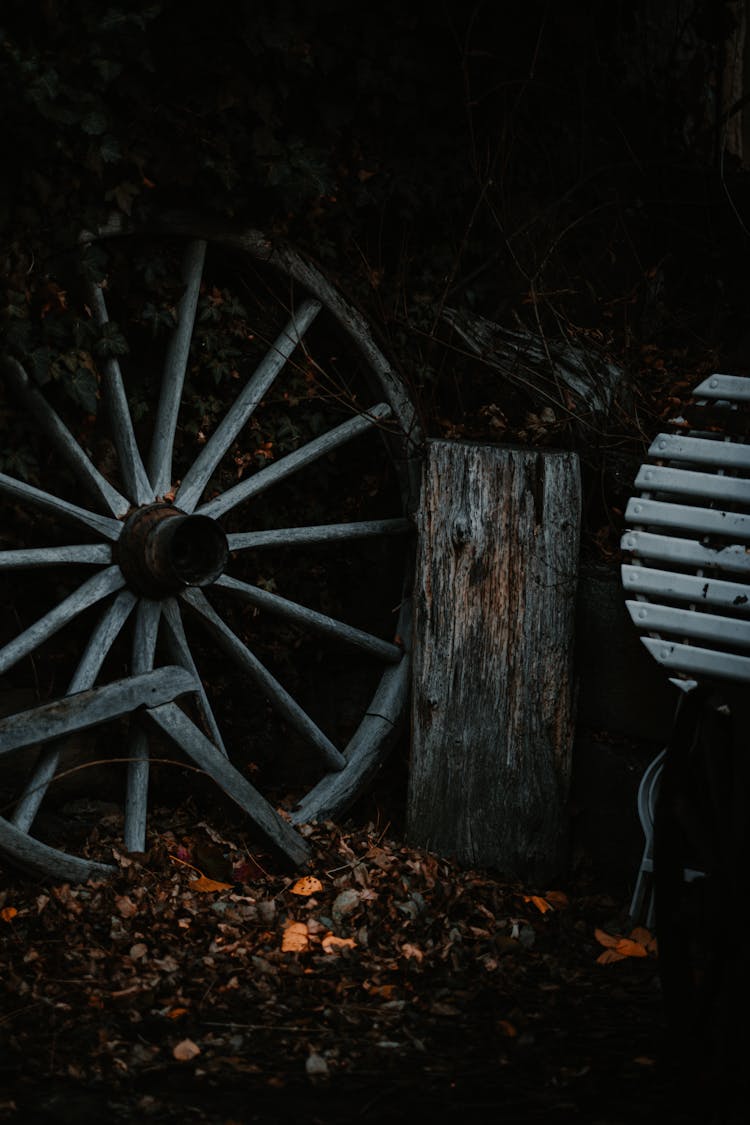 An Old Wheel Standing On The Ground With Autumnal Leaves 