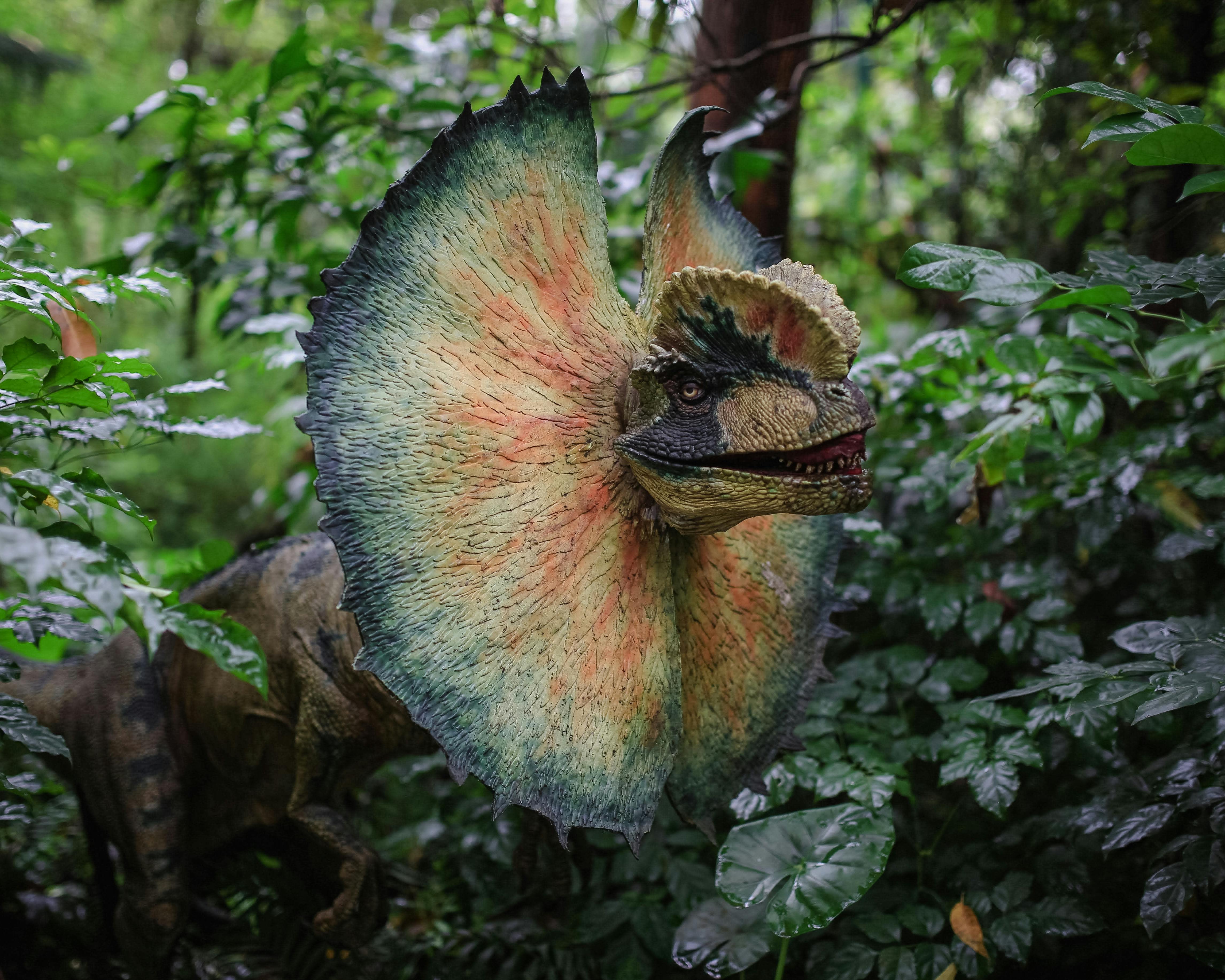 Ilmainen kuvapankkikuva tunnisteilla 3d-malli, biologia, dilophosaurus Kuvapankkikuva