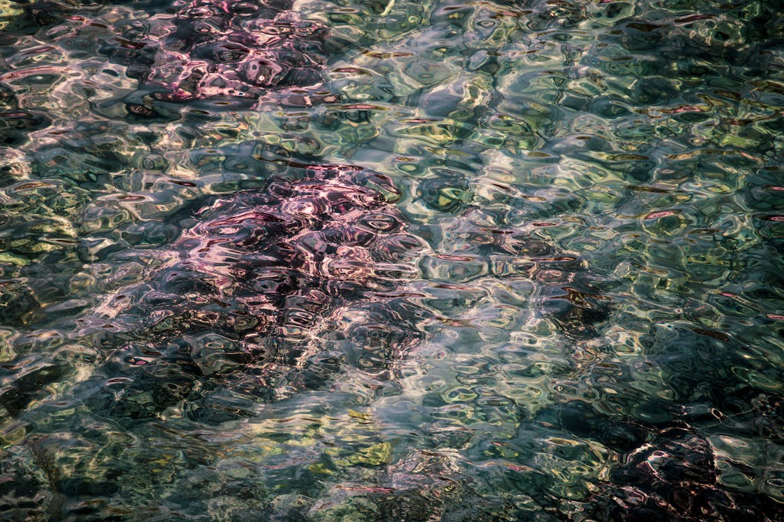 Fotobanka s bezplatnými fotkami na tému bubliny, modrá, povrch