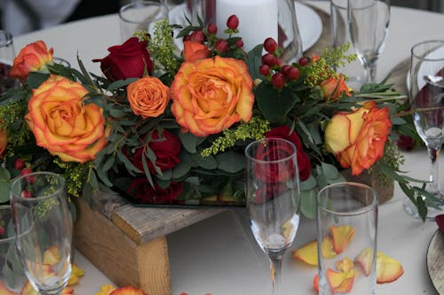 Free stock photo of champagne glasses, flowers, orange