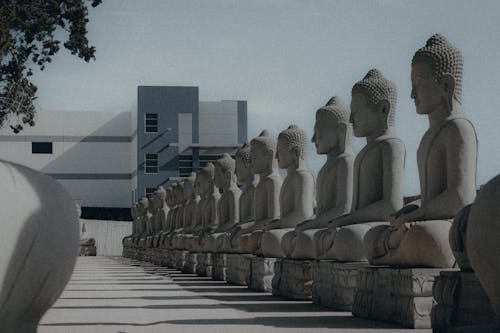 Gratis stockfoto met binnenkomst, Boeddha, gebouw