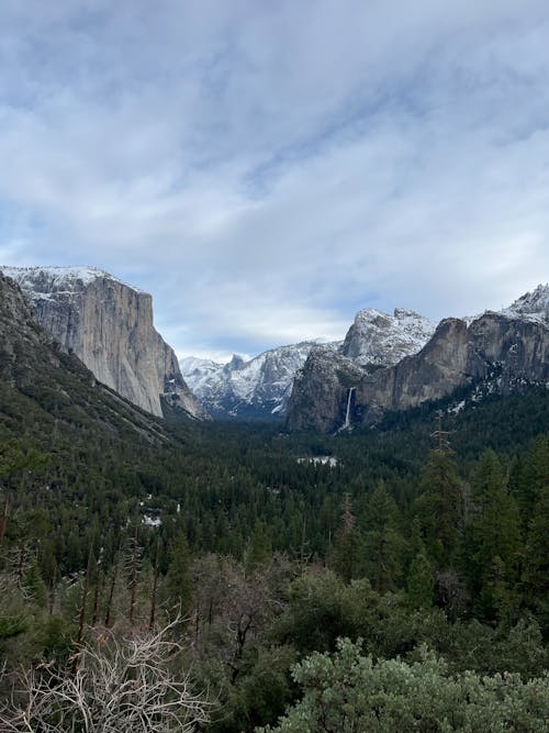優勝美地山谷, 加州, 国家公园 的 免费素材图片