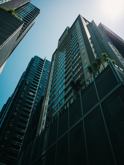 Low Angle View of Skyscrapers 