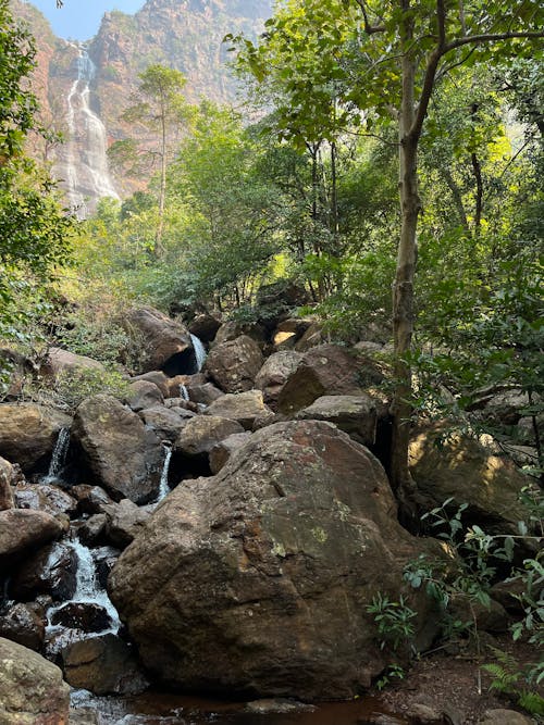 Foto d'estoc gratuïta de arbres, cascada, corrent