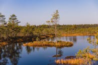 一座宁静的森林岛屿倒映在清澈的水中，蓝天之下，尽显大自然的静谧