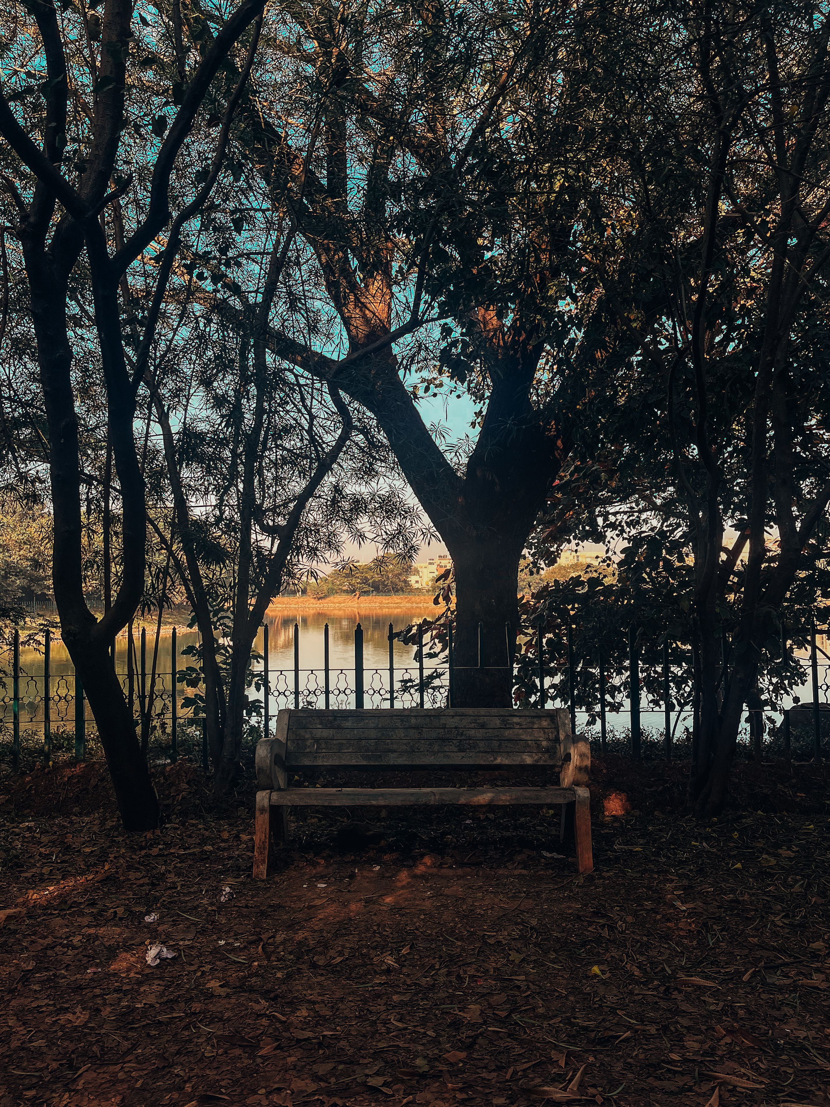 Wooden Bench in a Park · Free Stock Photo