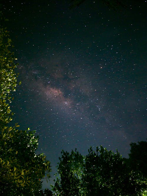 垂直ショット, 夜, 天の川の無料の写真素材
