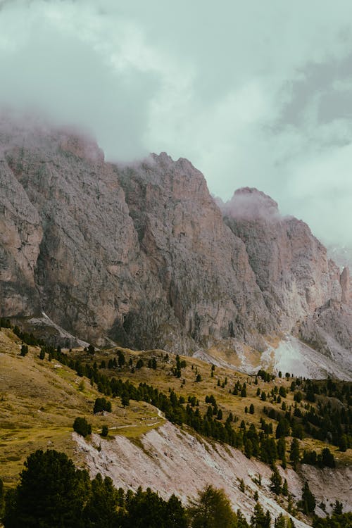 Trees Growing on Hills in Mountains Landscape