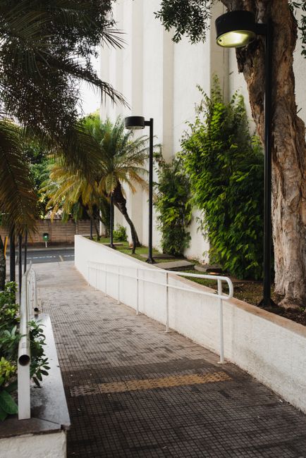 Fotomural Una acera urbana tranquila con vegetación exuberante y farolas modernas.