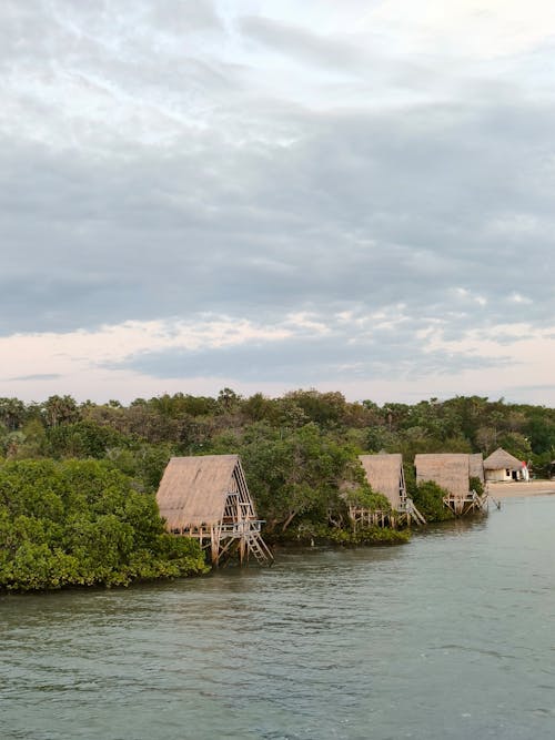 Бесплатное стоковое фото с амазонка, вертикальный выстрел, гостиница