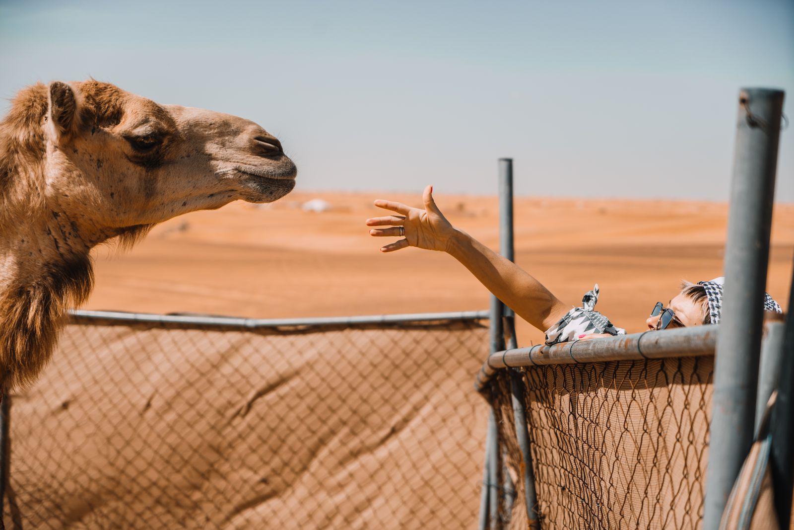 The dunes outside Dubai just before an evening safari starts