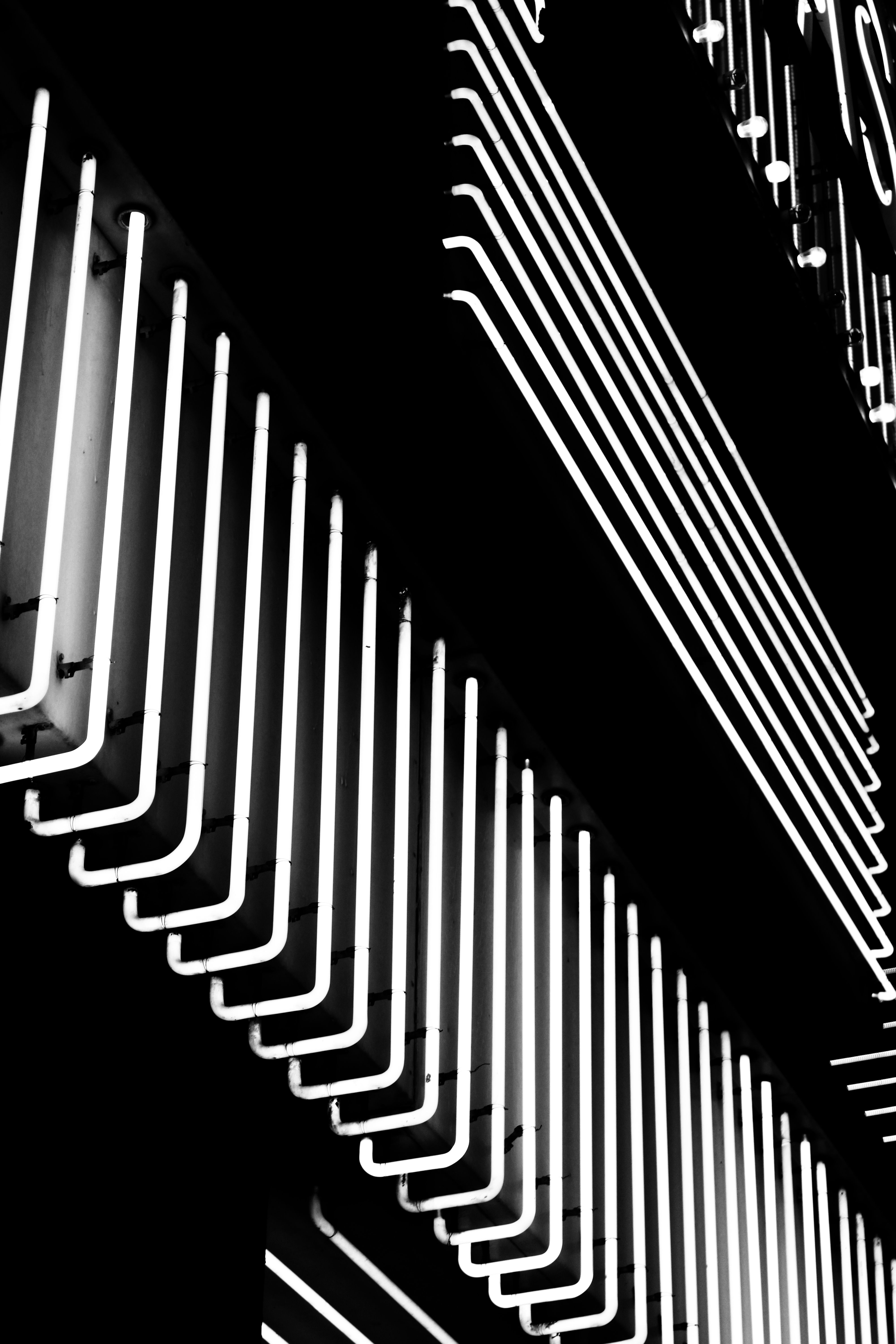 A black and white photo of a building with neon lights · Free Stock Photo
