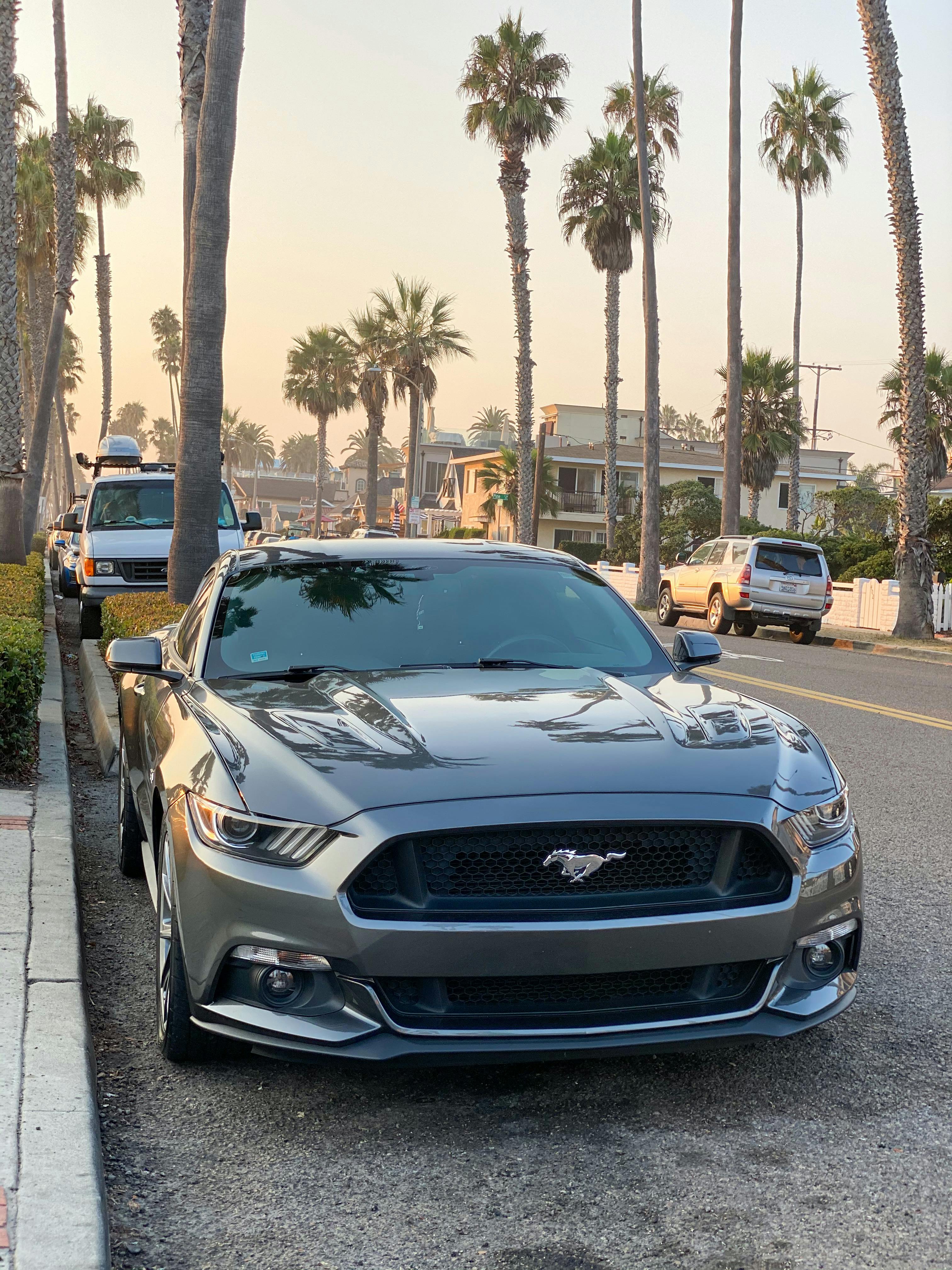 Ford mustang 2015 for sale at carmax in san diego, ca · Free Stock Photo