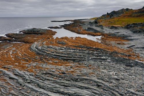 Kostnadsfri bild av basalt, hav, klippig