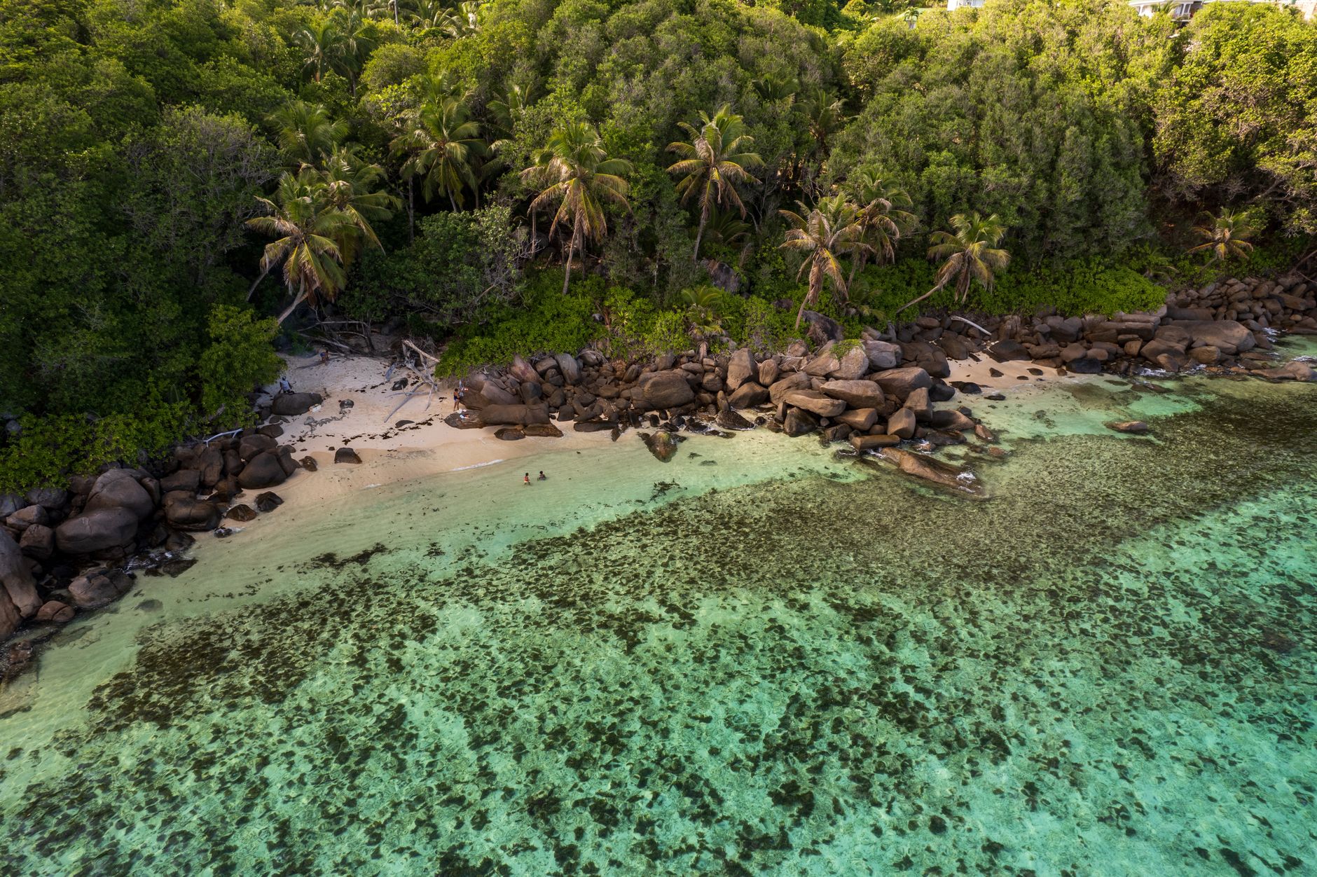 Stunning aerial view of a tropical beach with clear turquoise water and lush greenery in Seychelles.