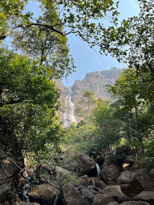 Foto stok gratis air terjun, alam, berbatu