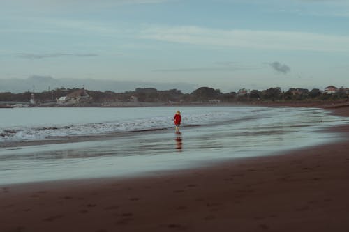 Foto profissional grátis de andando, areia, costa