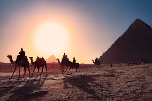吉薩, 埃及, 基奧普斯 的 免費圖庫相片