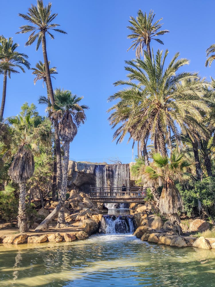 Parque El Palmeral In Spain 