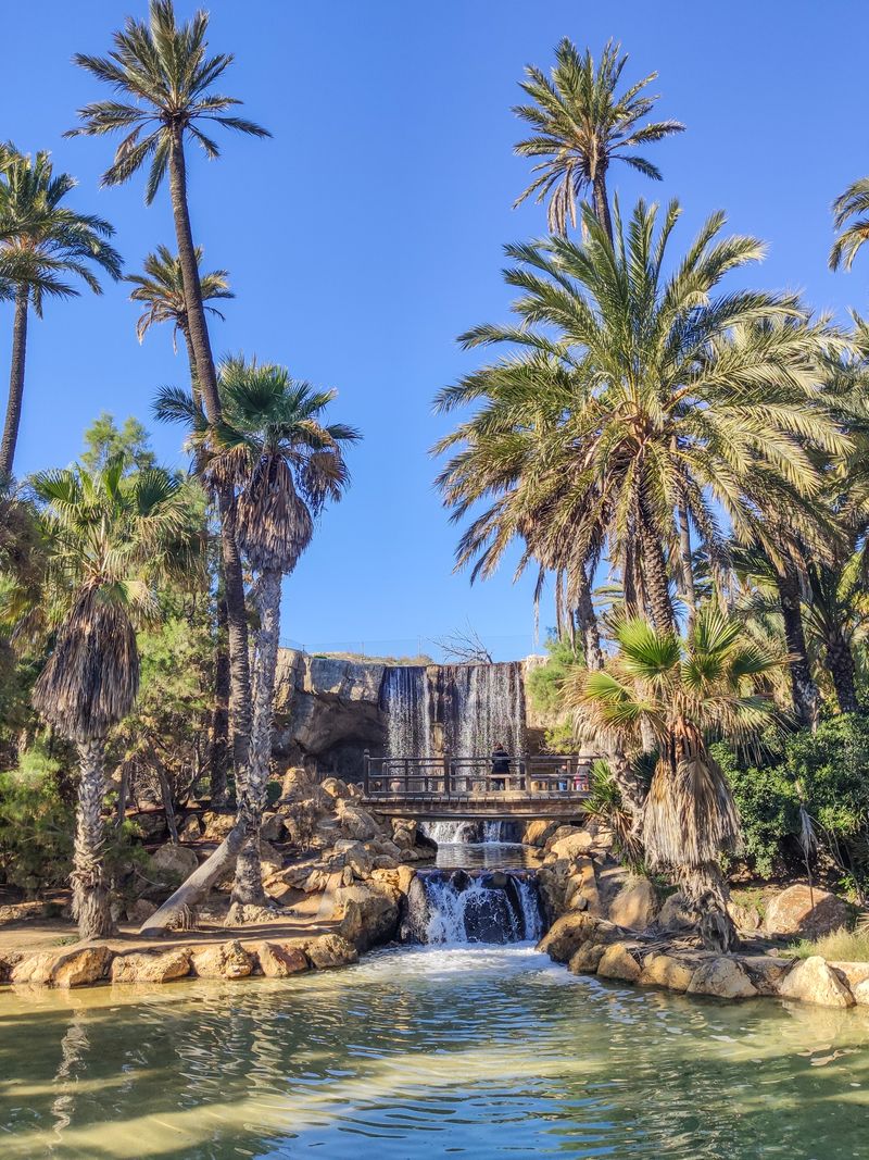 Parque El Palmeral (Alicante)