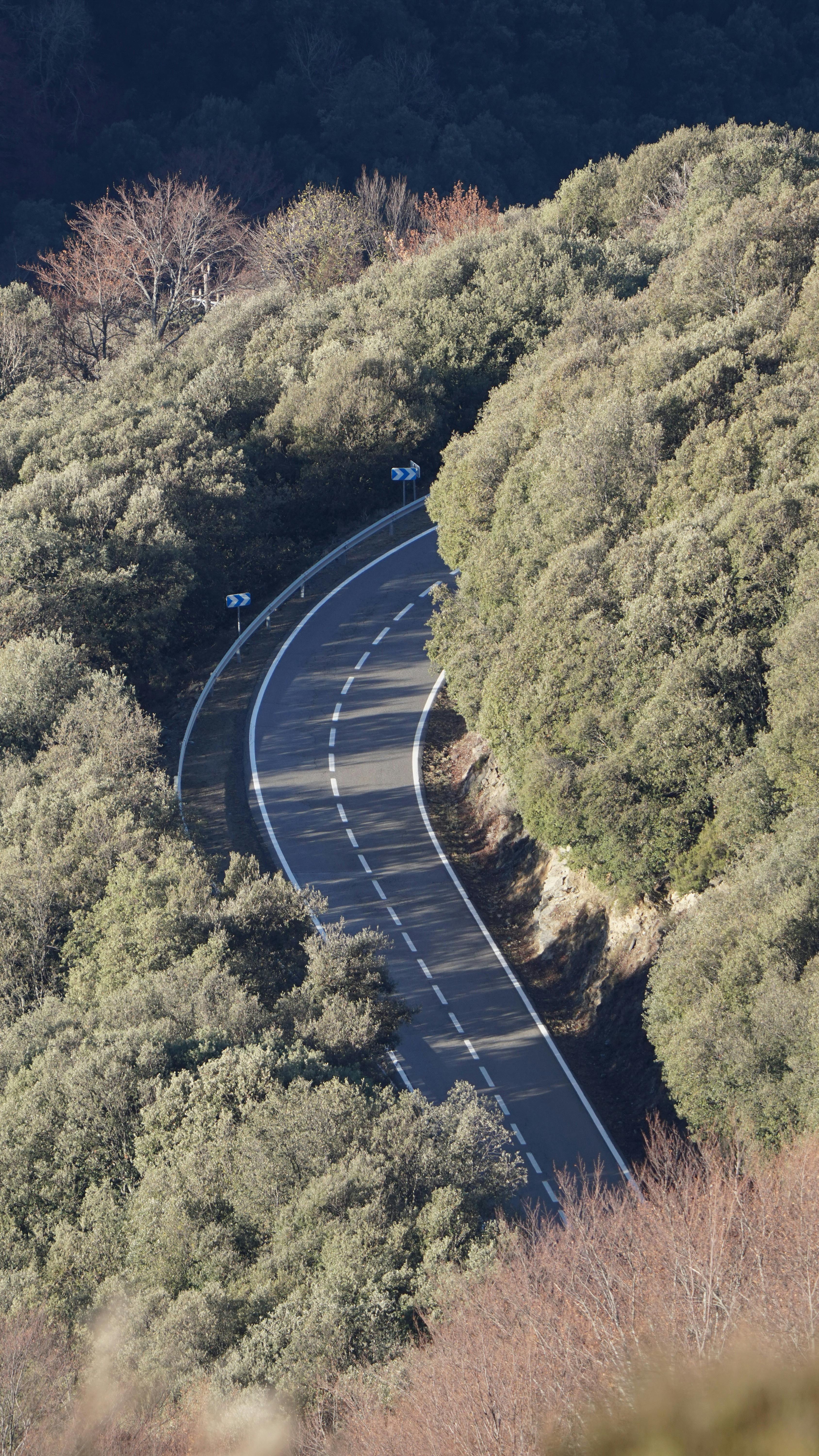 a curved road is shown in the middle of a forest