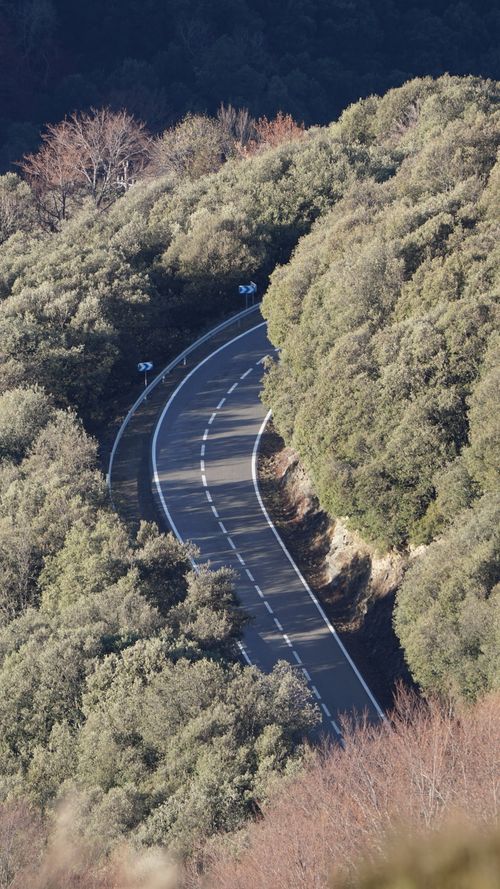 Free Aerial view of a serpentine road weaving through lush green forest; perfect for travel themes. Stock Photo