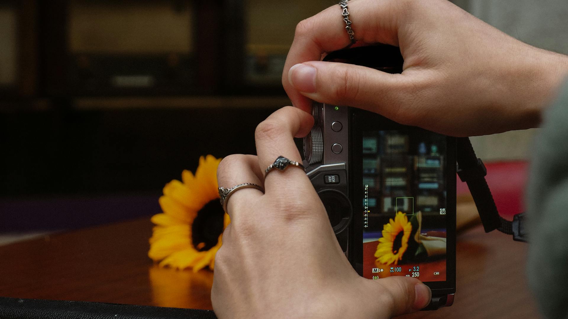 Close up of Woman Taking Picture of Flower