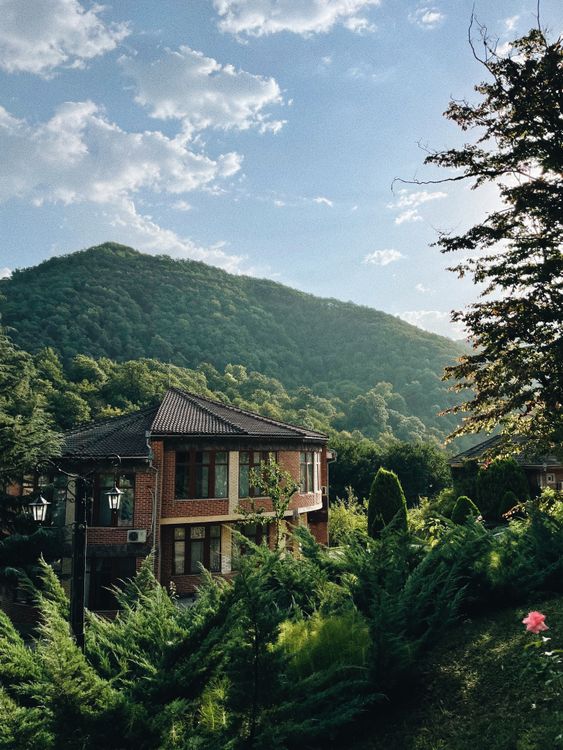 Forest Surrounded Building Forest around Building · Free Stock Photo