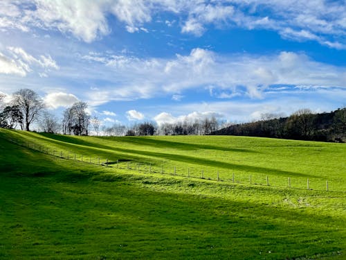 Kostenloses Stock Foto zu bäume, grün, hügel