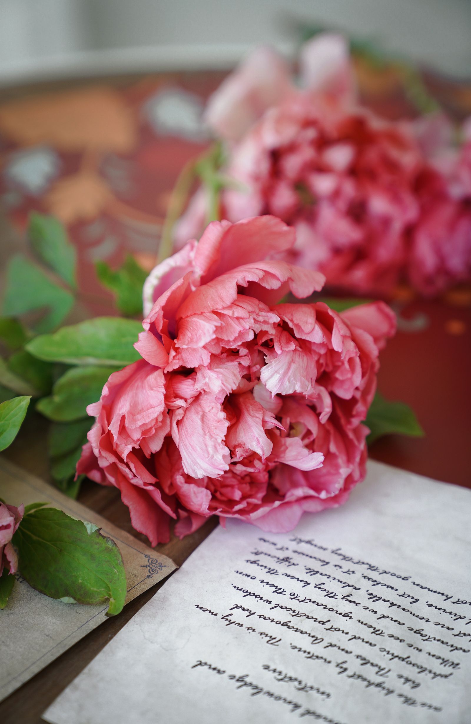 Pink peonies beside a handwritten letter