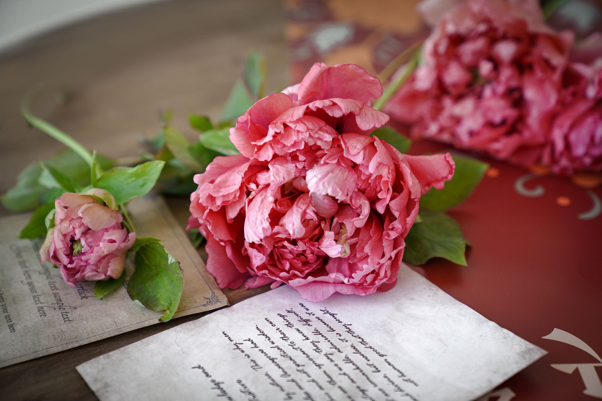 Close-up of pink peonies on vintage letters, creating a romantic and nostalgic atmosphere.