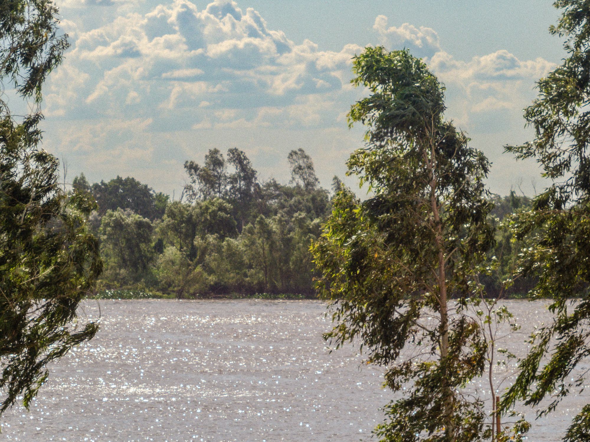 Peaceful river scene with lush green trees under partly cloudy sky in Asuncion Paraguay