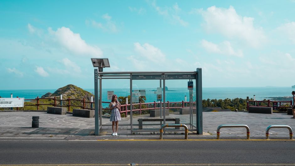 Surviving Jeju Buses and Korean Subways: An Expat’s Honest Guide