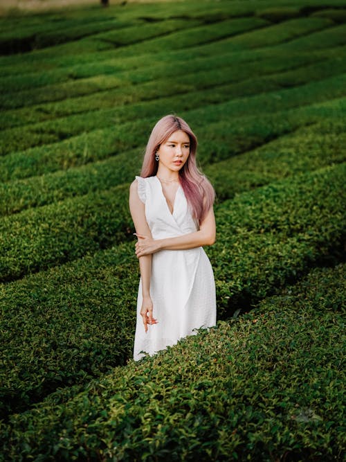Beautiful Woman Standing in the Tea Field