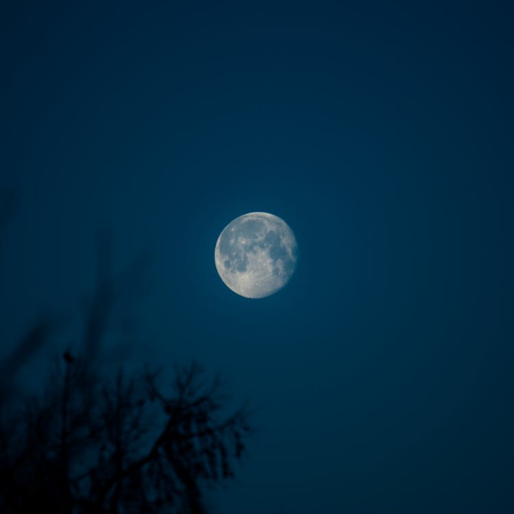 Free stock photo of bright, dark, moon