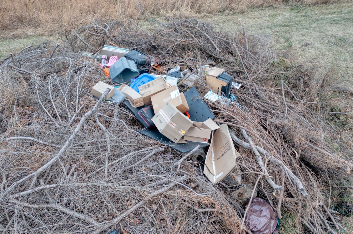Discarded boxes and outdoor debris among branches