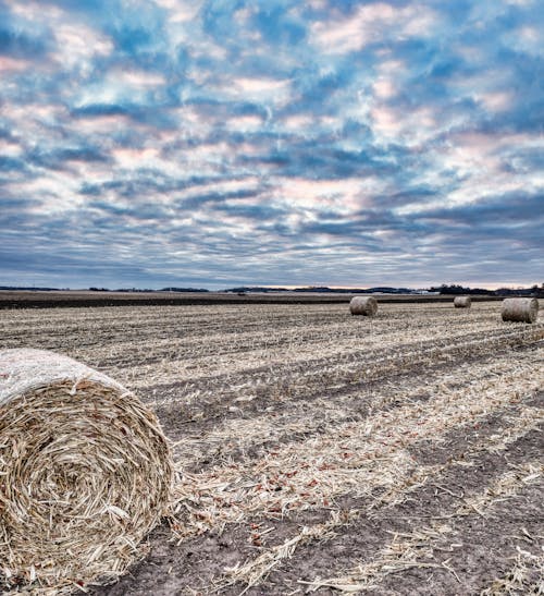 Clouds over Field with Hay Bales