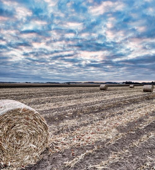 Free Stunning rural field with hay bales under a dramatic overcast sky in Elgin, MN. Stock Photo
