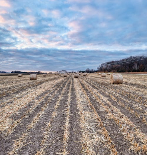 alan, ekili arazi, hasat edilmiş tarla içeren Ücretsiz stok fotoğraf