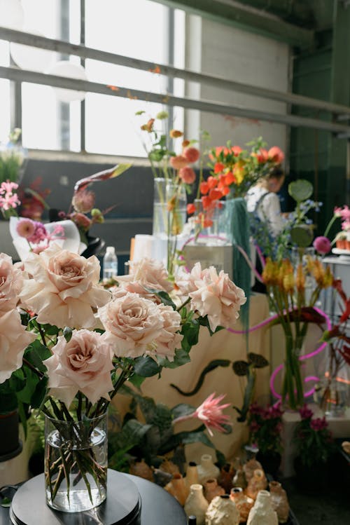 Základová fotografie zdarma na téma floristka, interiér, květiny