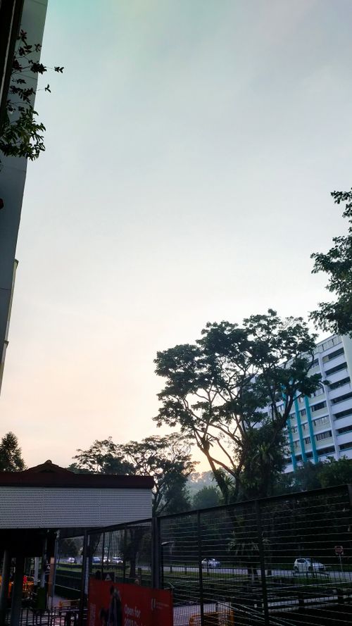 Free stock photo of bright sky, daybreak Stock Photo