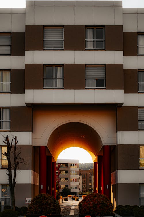 Fotos de stock gratuitas de edificios, luz del sol, muro